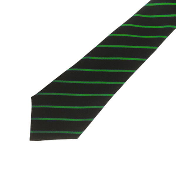 PCS Tie - Year 7 (Green) Thumbnail