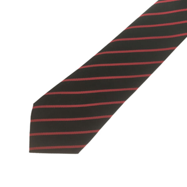 PCS Tie - Year 11 (Red) Thumbnail