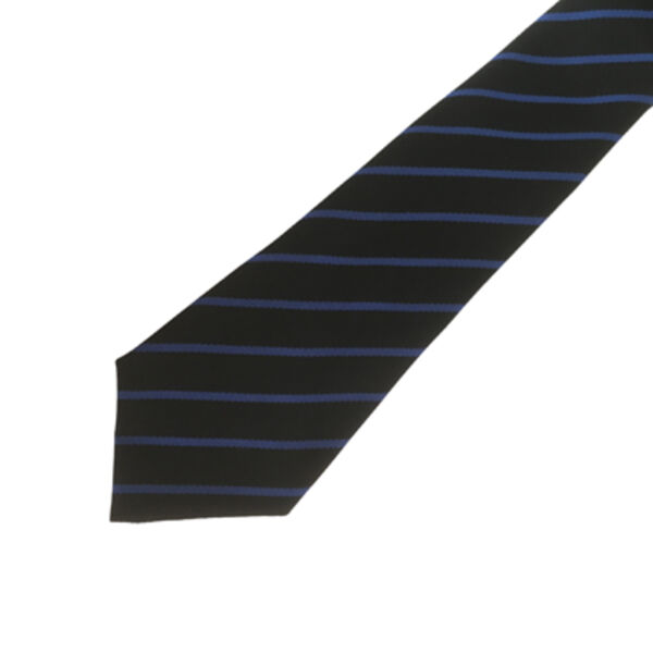PCS Tie - Year 8 (Royal) Thumbnail