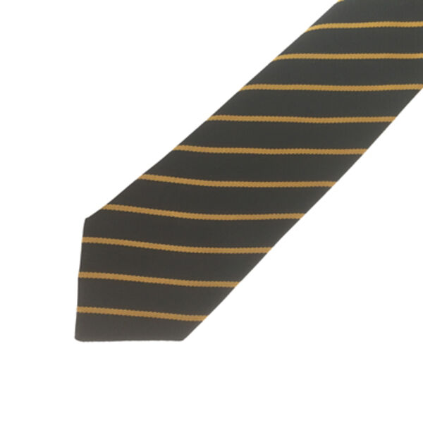 PCS Tie - Year 9 (Gold) Thumbnail